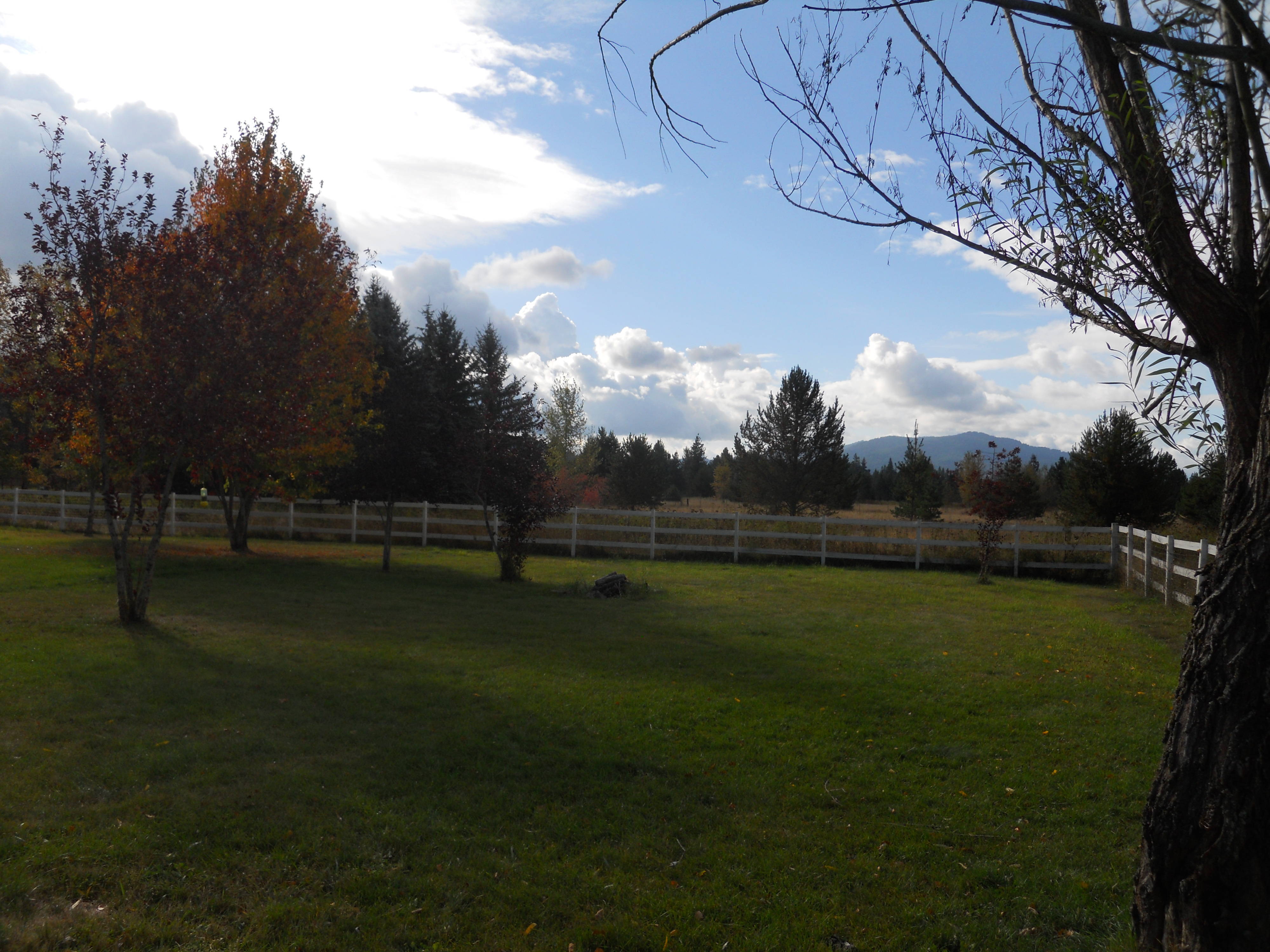 Sandpoint Idaho Home, Acreage with Horse set up Sold